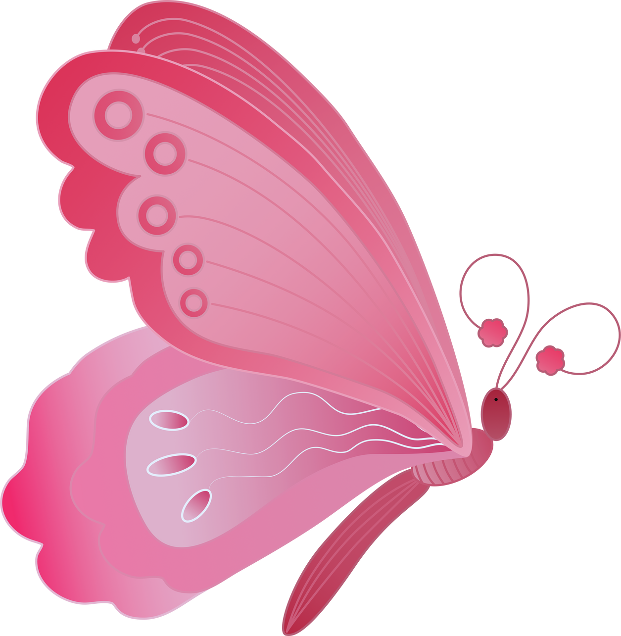Pink Butterfly Illustration